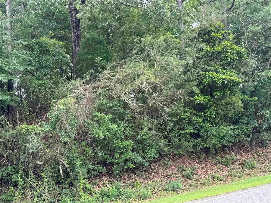 33586 Rosalia Avenue, Lillian, AL 36549 - #3