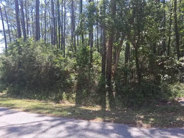 1205 Alabama Avenue, Dauphin Island, AL 36528