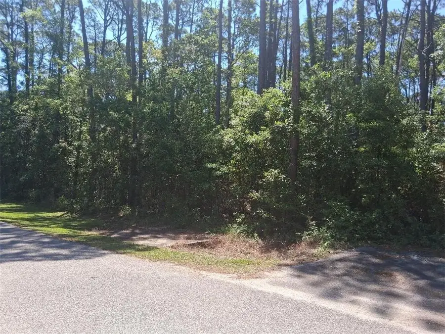 1205 Alabama Avenue, Dauphin Island, AL 36528 - #3