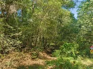 6917 Old Citronelle Highway, Eight Mile, AL 36613 - #2