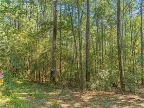 6917 Old Citronelle Highway, Eight Mile, AL 36613 - #3