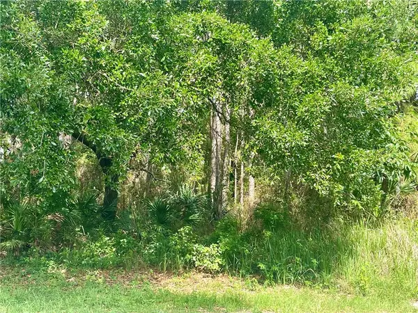 118 Forney Johnston Drive, Dauphin Island, AL 36528