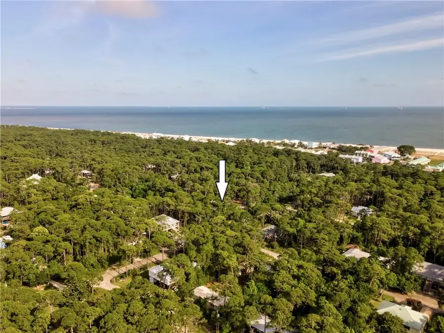 118 Forney Johnston Drive, Dauphin Island, AL 36528 - #2