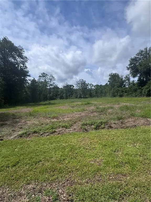 3287 Spartan Drive, Saraland, AL 36571 - #2