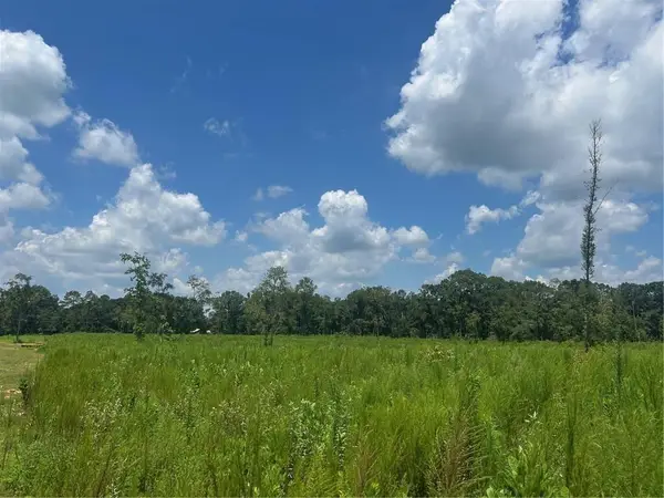 0 Lundy Road, Theodore, AL 36582