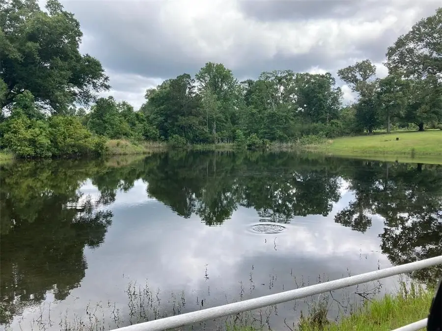 20760 3rd Street N, Citronelle, AL 36522 - #2