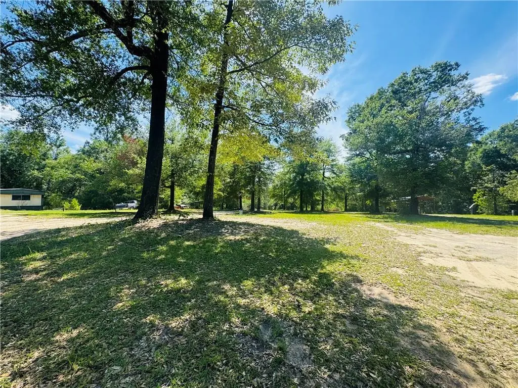19035 Joan Harris Road, Mount Vernon, AL 36560 - #1