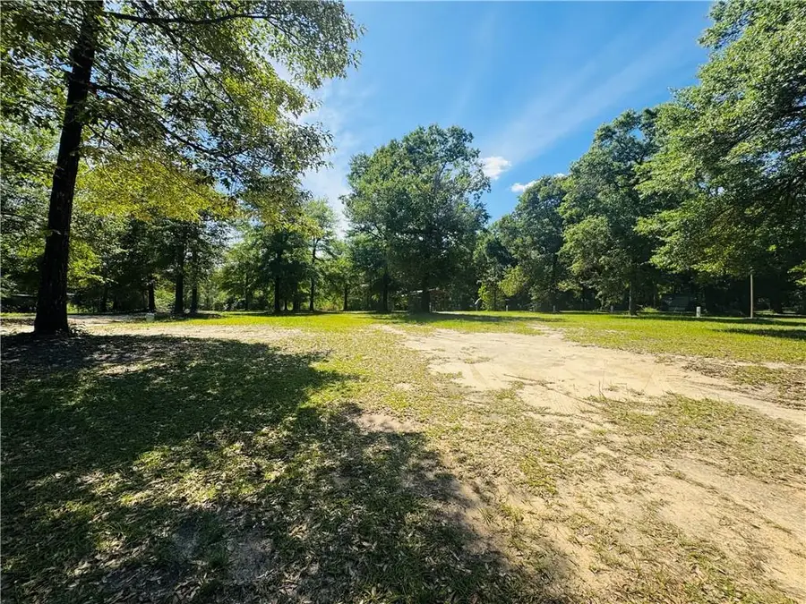 19035 Joan Harris Road, Mount Vernon, AL 36560 - #2