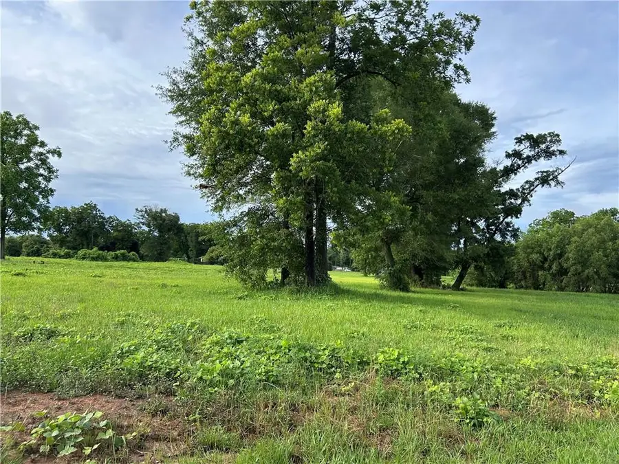 0 Grelot Road, Mobile, AL 36695 - #3
