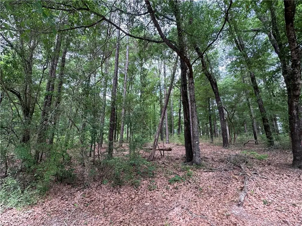 7515 Lambeth Drive, Saraland, AL 36571 - #1