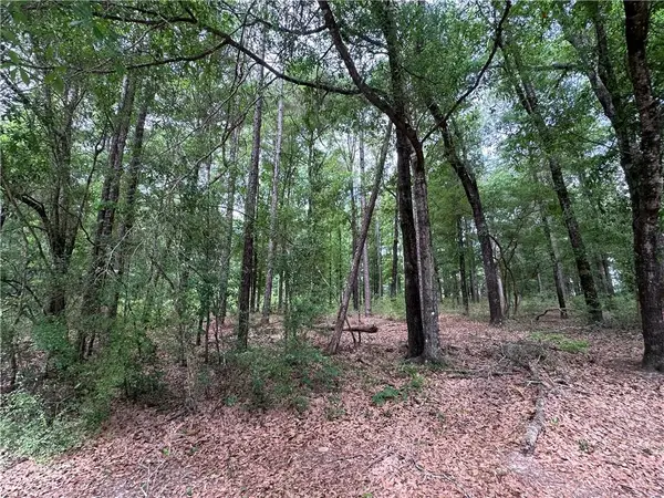 7515 Lambeth Drive, Saraland, AL 36571