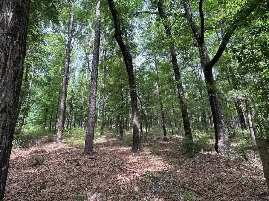 7515 Lambeth Drive, Saraland, AL 36571 - #3