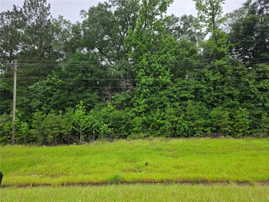 15101 Highway 43, Mount Vernon, AL 36560 - #1