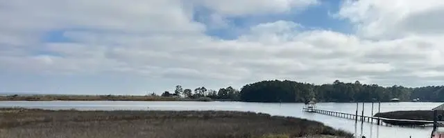 11551 Dauphin Island Parkway, Theodore, AL 36582 - #3