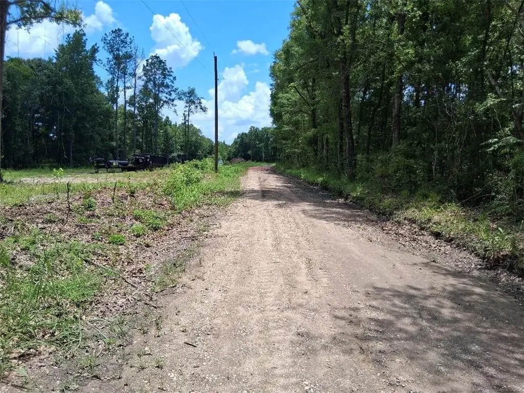 0000 Dan Churchman Road, Axis, AL 36505 - #1