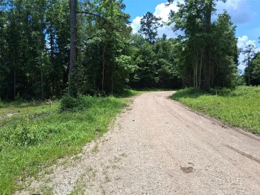 0000 Dan Churchman Road, Axis, AL 36505 - #3