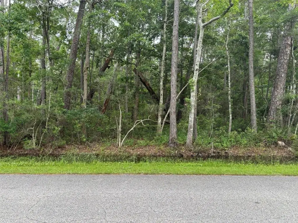 807 Alabama Avenue, Dauphin Island, AL 36528 - #1