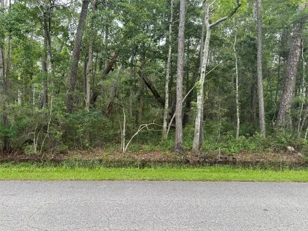 807 Alabama Avenue, Dauphin Island, AL 36528