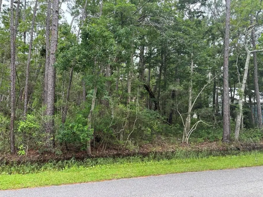 807 Alabama Avenue, Dauphin Island, AL 36528 - #2