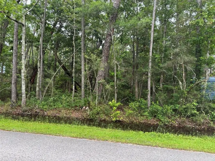 807 Alabama Avenue, Dauphin Island, AL 36528 - #3