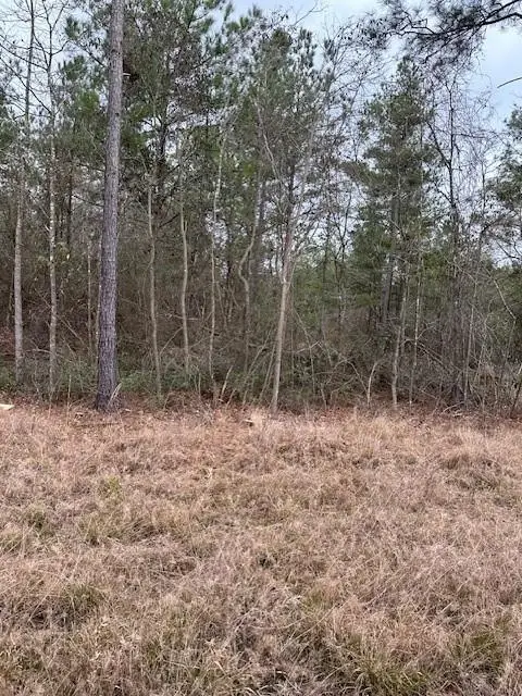 0 Salco Road, Axis, AL 36505