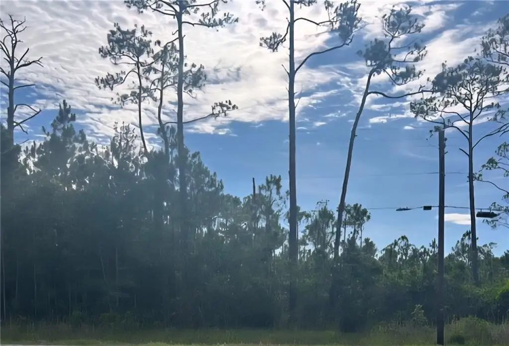 13565 Dauphin Island Parkway, Coden, AL 36523 - #1