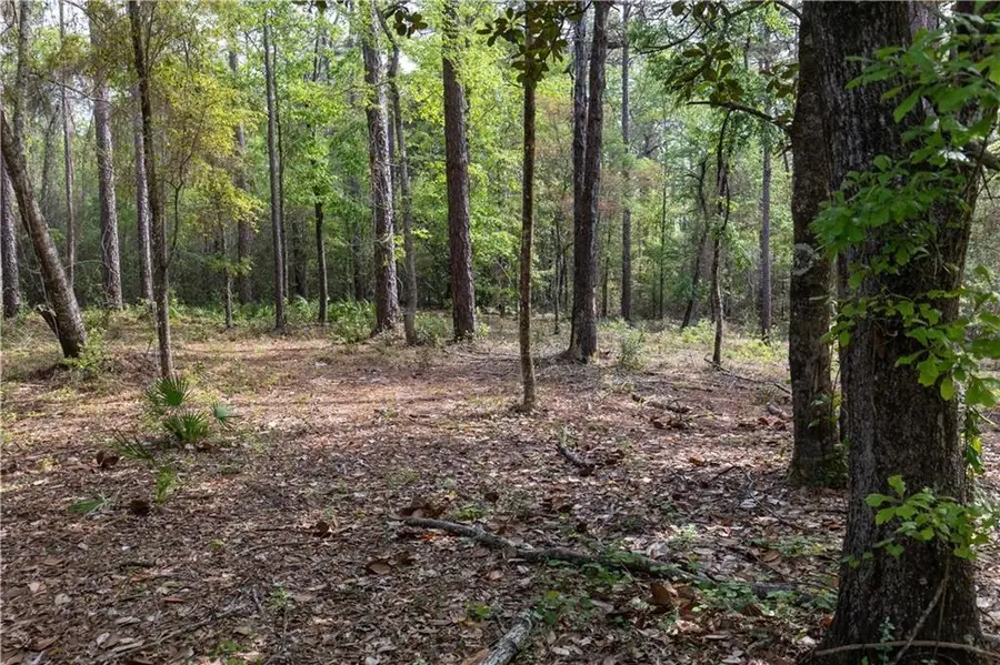 0 Cedar Trace, Theodore, AL 36582 - #3