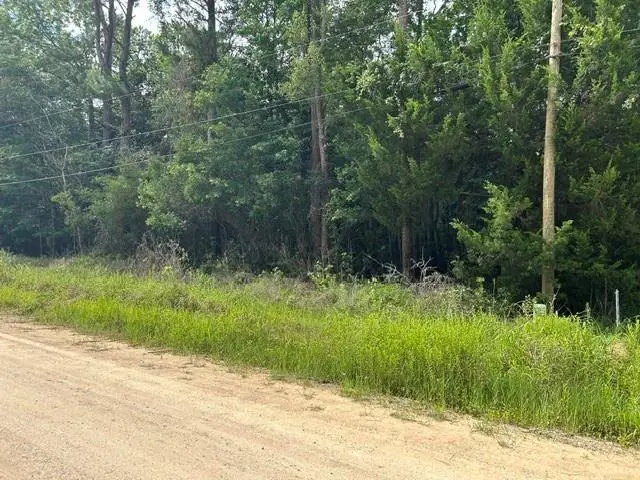 0 New Belle Fontaine Boulevard, Theodore, AL 36582 - #3