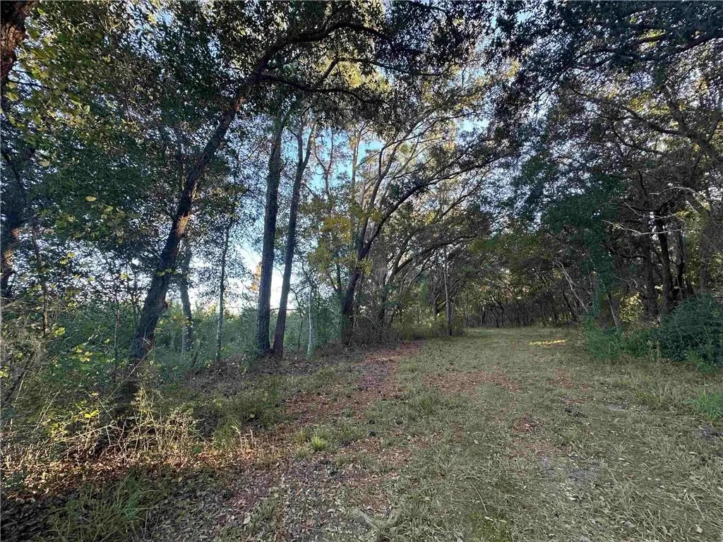0 Benton Road, Foley, AL 36535 - #1