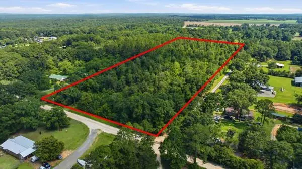 10101 Lawrence Byrd Road, Chunchula, AL 36521 - #3