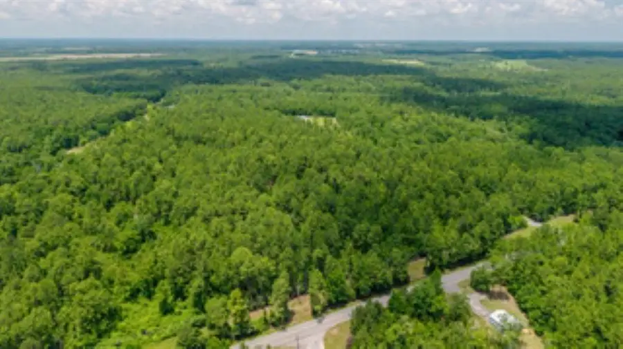 Lot 3 Roberts Chapel Road, Mobile, AL 36608 - #3