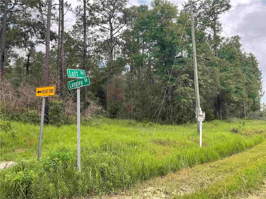 0 Lott Road, Chunchula, AL 36521 - #3