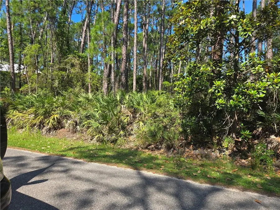 107 Annadale Street, Dauphin Island, AL 36528 - #3