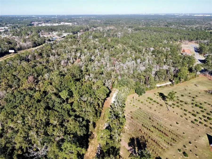 0 Riviere Du Chien Road, Mobile, AL 36693 - #3