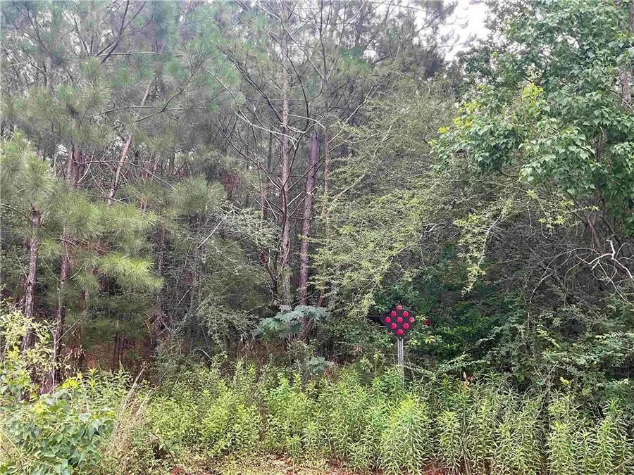 9876 Driveway Drive, Chunchula, AL 36521 - #3