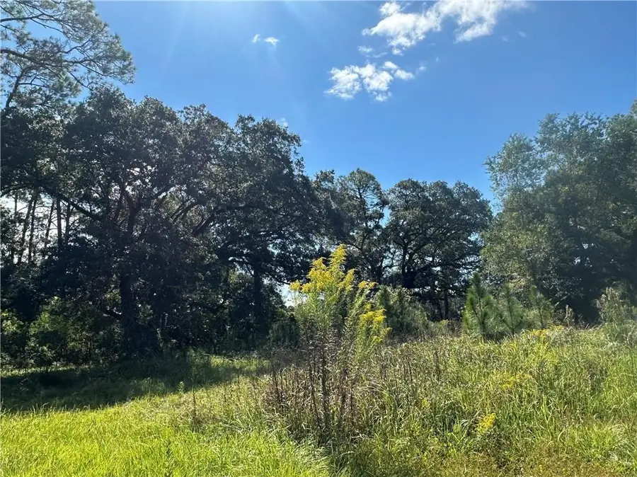 8916 Alba Street W, Bayou La Batre, AL 36509 - #3