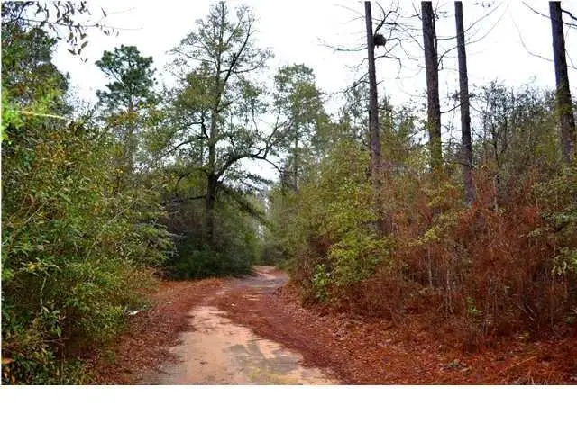 15370 Morgan Lane N, Wilmer, AL 36587 - #1
