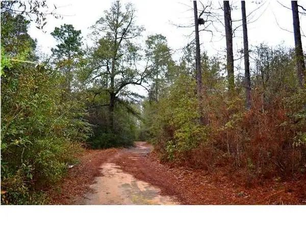 15370 Morgan Lane N, Wilmer, AL 36587