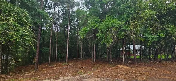 0 Timber Creek Drive N, Axis, AL 36505
