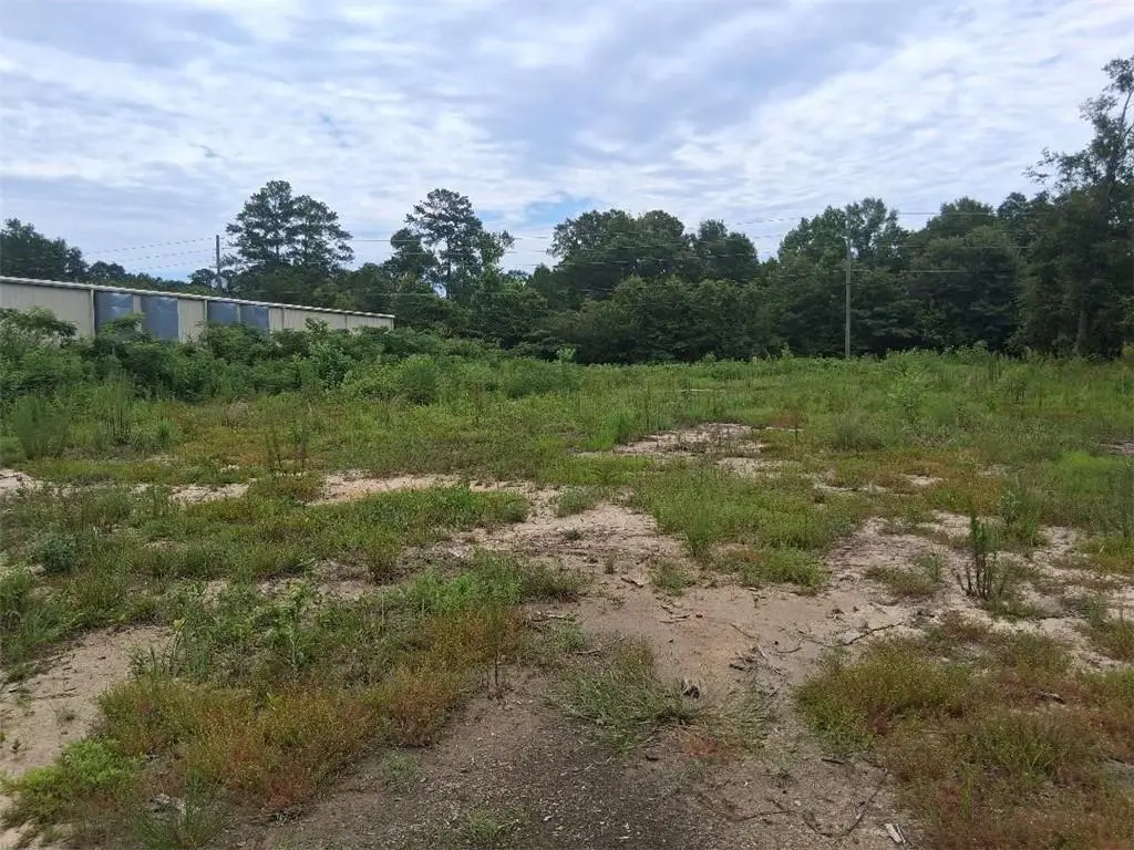 0 Old Highway 43, Mount Vernon, AL 36560 - #1