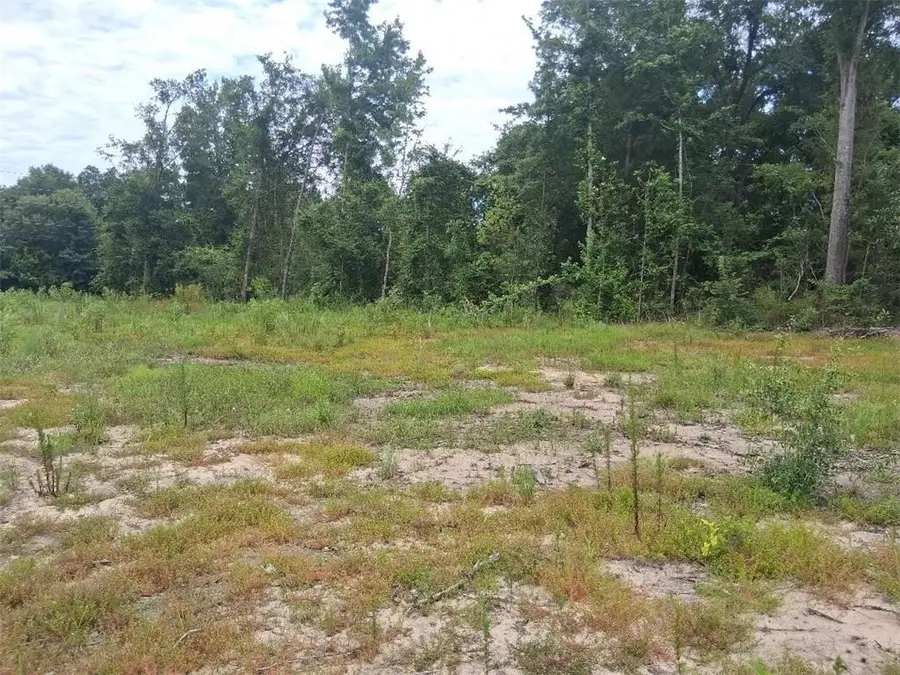 0 Old Highway 43, Mount Vernon, AL 36560 - #3