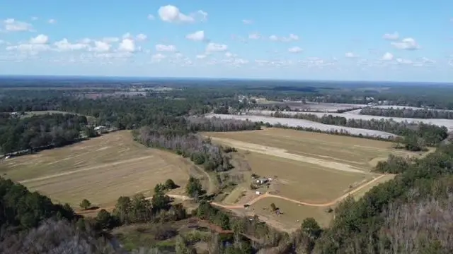 0000 Lott Road, Chunchula, AL 36521 - #1