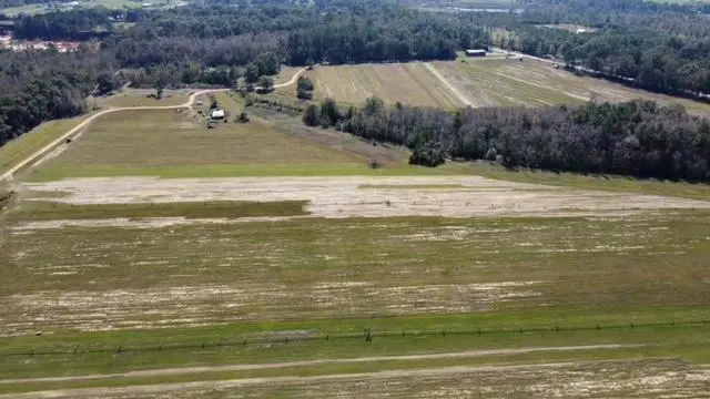 0000 Lott Road, Chunchula, AL 36521 - #2