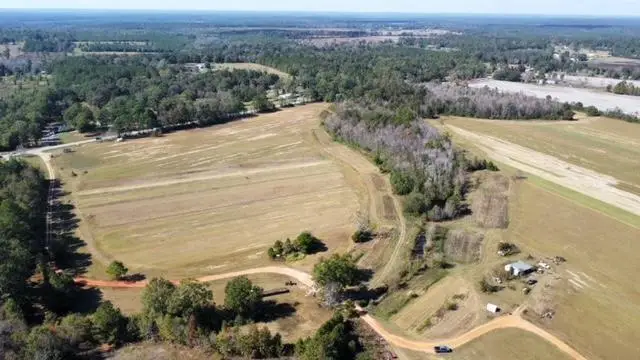 0000 Lott Road, Chunchula, AL 36521 - #3