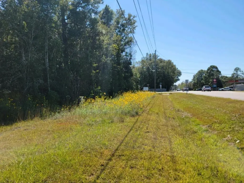 2 Two Mile Road, Irvington, AL 36544 - #1