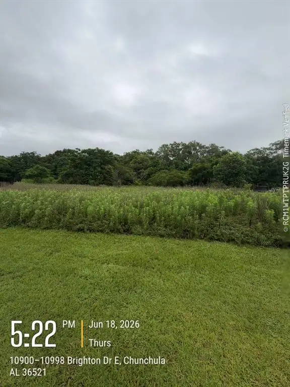 0 Brighton Drive, Chunchula, AL 36521 - #2