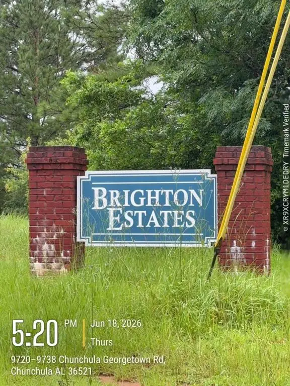 0 Brighton Drive, Chunchula, AL 36521 - #3