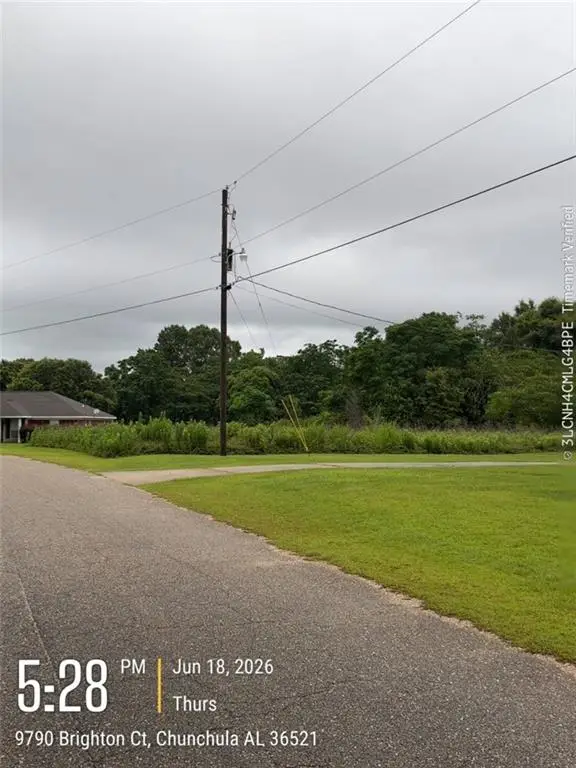 0 Brighton Drive, Chunchula, AL 36521 - #1
