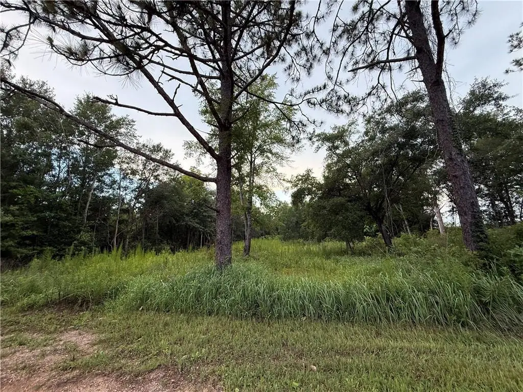 10224 Magnolia Road, Irvington, AL 36544 - #1