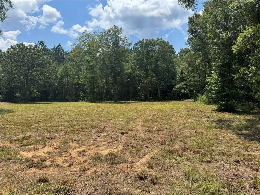 1975 Dead Lake Marina Road, Creola, AL 36525 - #2